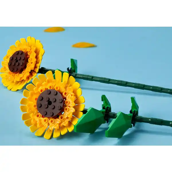 40524 Sonnenblumen