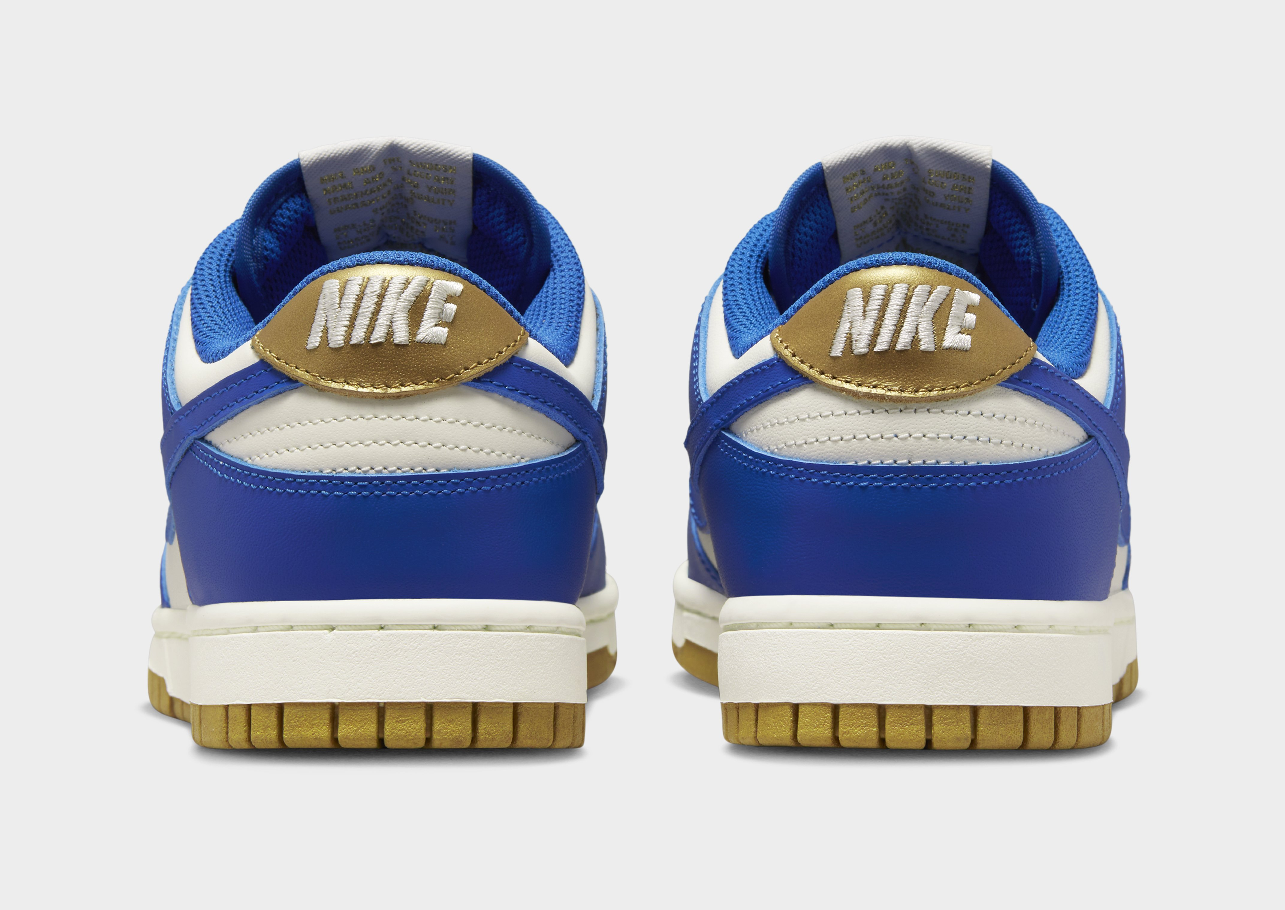 Nike NIKE DUNK LOW WOMEN'S