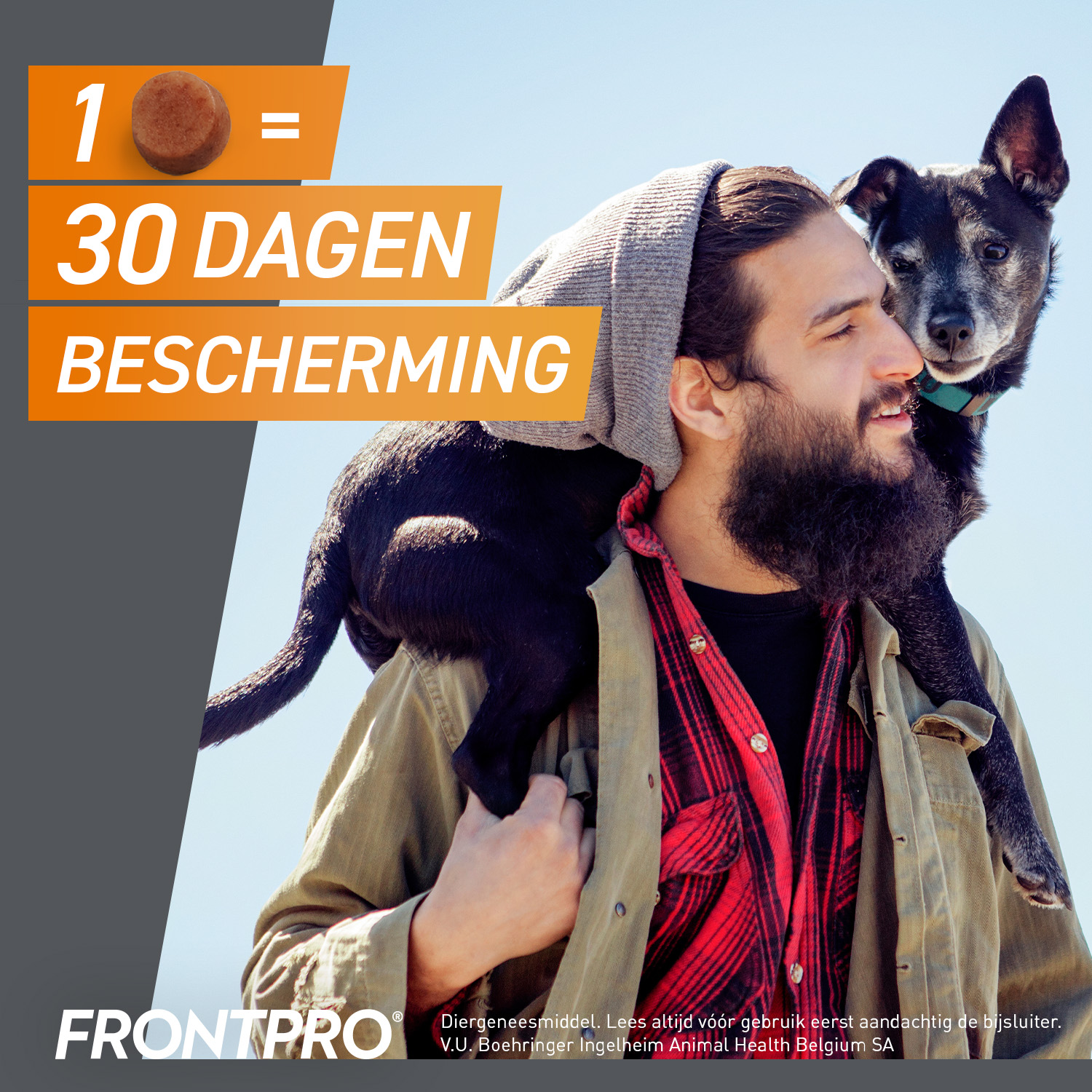 FRONTPRO Kauwtabletten Hond