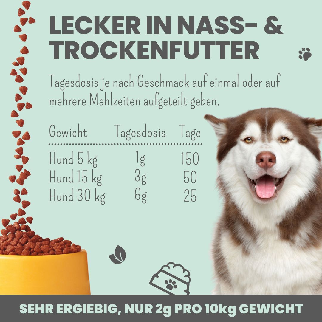 noms+ Verdauungsmix für Hunde & Katzen als Probiotikum für Magen- & Darmflora