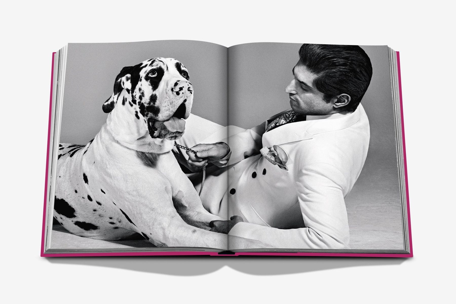 Assouline Chic Dogs