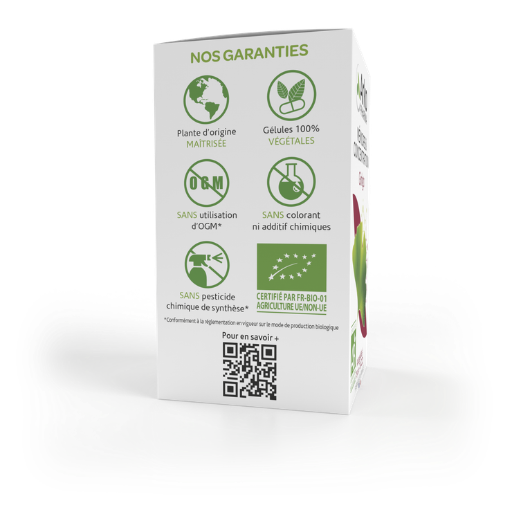 Arkogélules Ginkgo mémoire 150 gélules