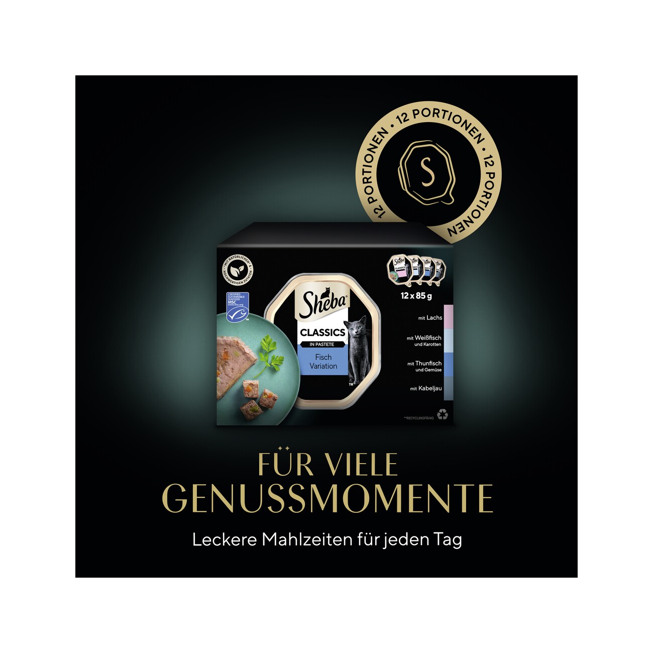 Sheba Classics in Pastete 12x85g