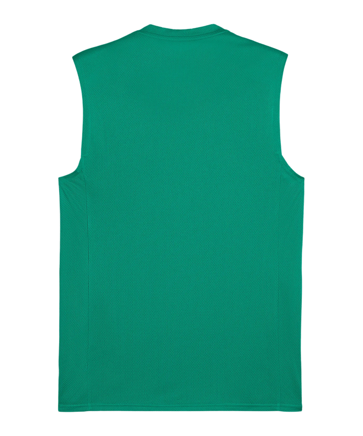 PUMA TeamGoal Trikot Grün F05