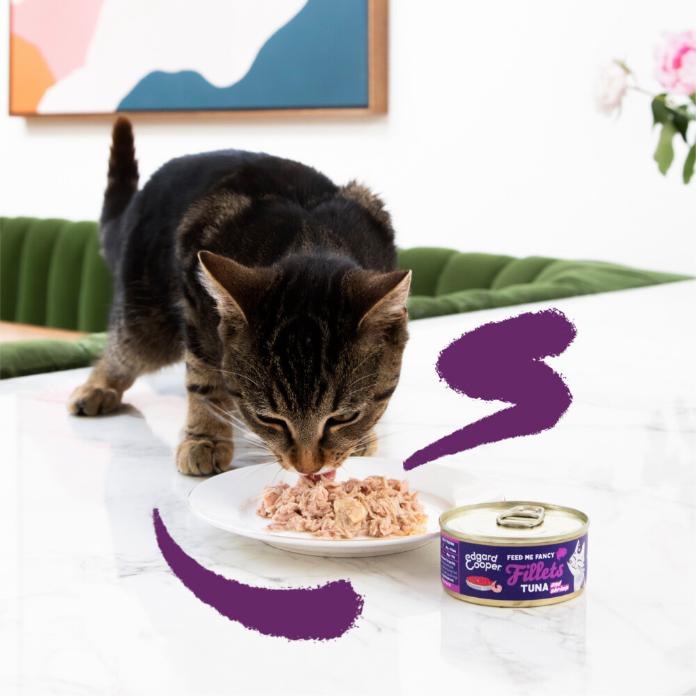 Edgard & Cooper Kattenvoer Fillets Tonijn - Garnaal70 gr