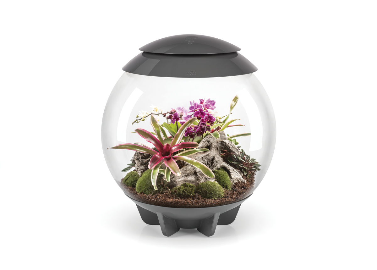 biOrb Air 30 Grijs | Plantenterrarium