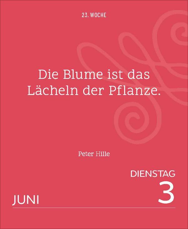 Weisheiten großer Dichter und Denker 2025