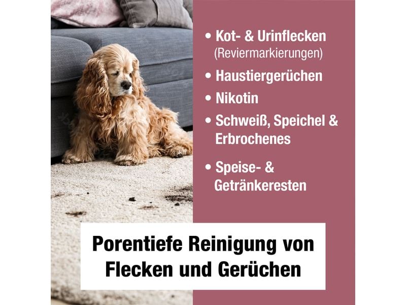 Bio Chem Geruchs- und Fleckenentferner 750 ml Geruchsneutralisierender Fleckenentferner für Sofa, Teppich oder wasserbeständige Böden