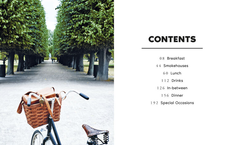New Mags Copenhagen Cult Recipes mini