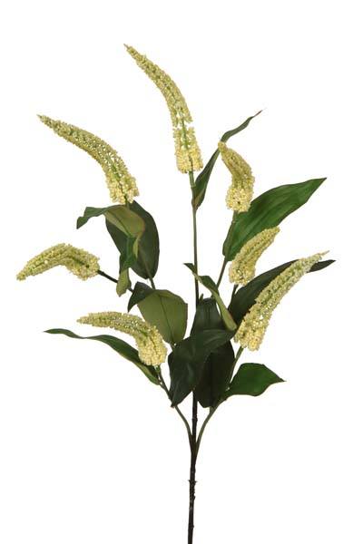 Bahne Interior  Cascara, blomst, creme - 84 cm