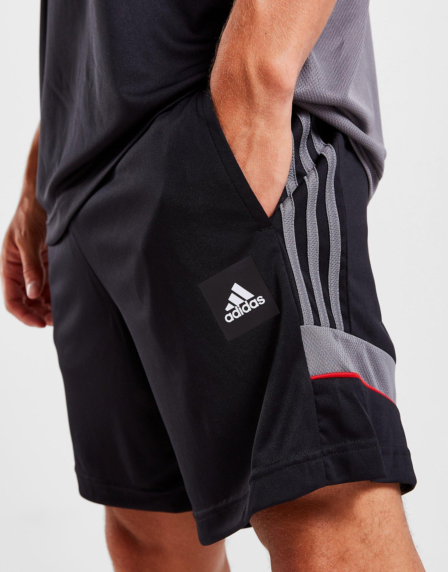 adidas Short de Match Homme