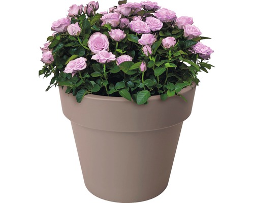 elho Green Basics kunststof plantenpot, Ø 40 cm, H 33 cm, taupe