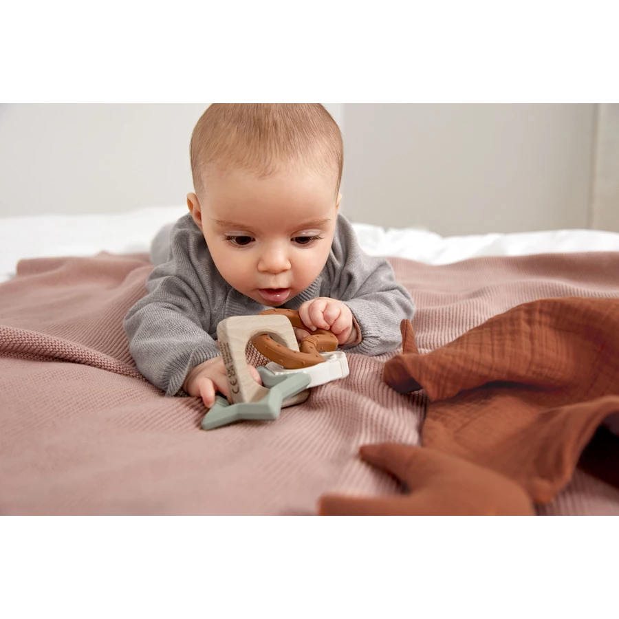 LÄSSIG Teether WoodSilicone Little Universe