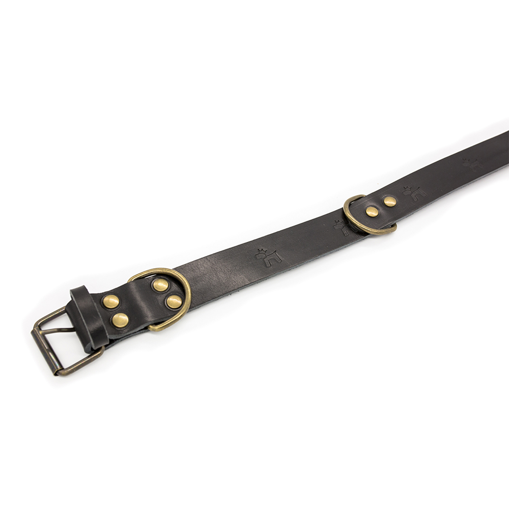 Coleira Bark Gaucho Premium em Couro Preto para Cães