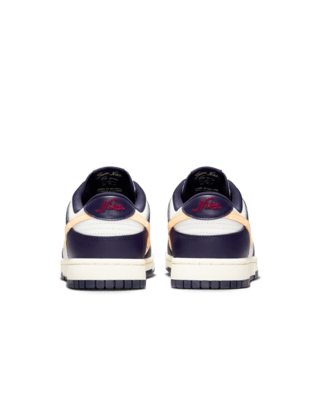 Nike Dunk Low Retro Men's Shoes