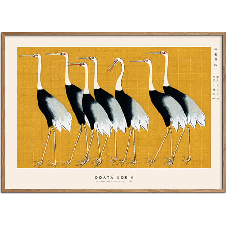 Japanese Red Crown Crane - 30x40 cm