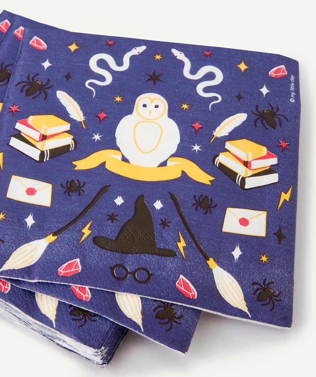 MY LITTLE DAY16 SERVIETTES SORCIER