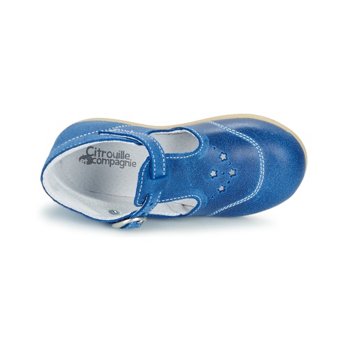 Citrouille et Compagnie - GODOLO - Bleu