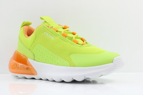 GEOX Sneaker