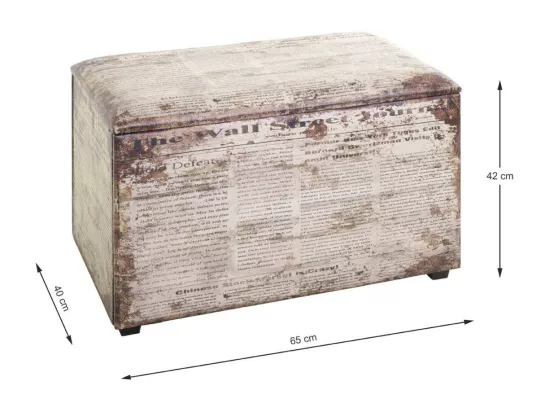 Coffre de Rangement Vintage 