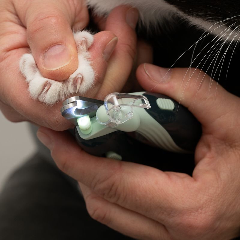Ciseaux à griffes kooa avec LED pour chien et chat