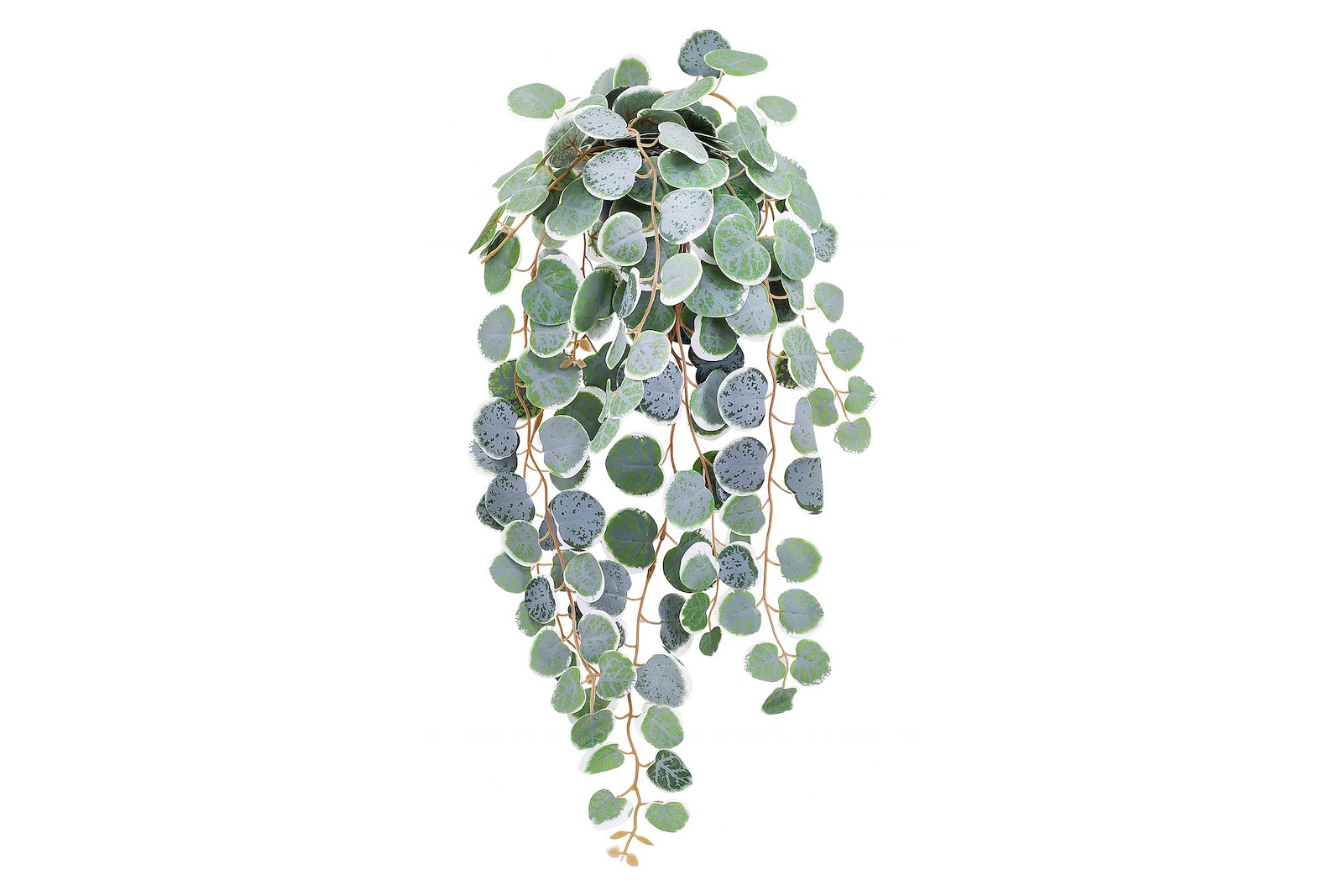 Eucalyptus hengeplante Grønn H65 cm