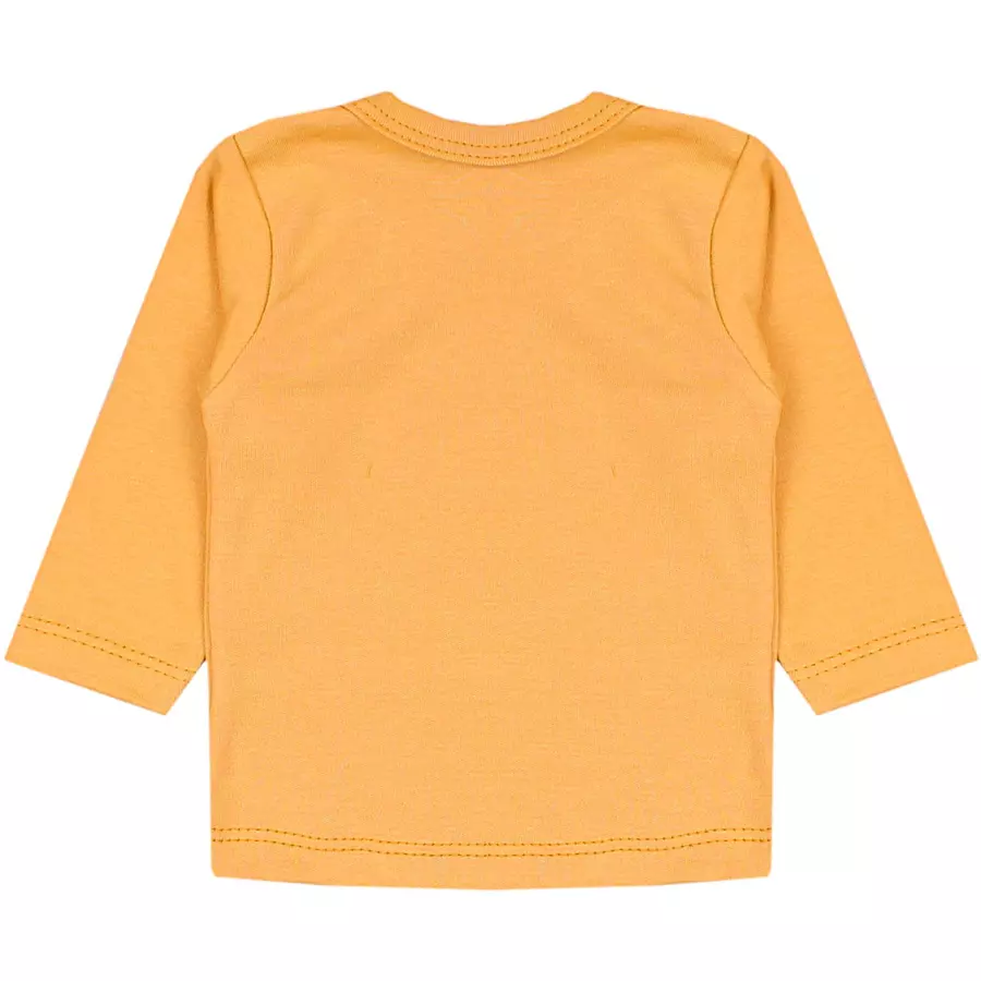 TupTam Baby Jungen Langarmshirt 5er Pack grünblau