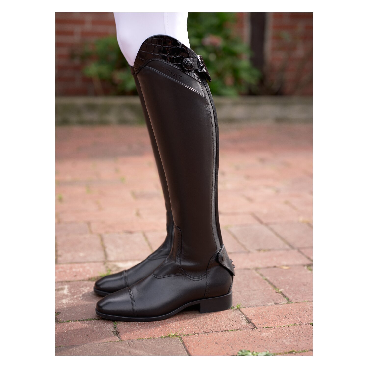 ARIAT Reitstiefel Palisade Show  - black/croco