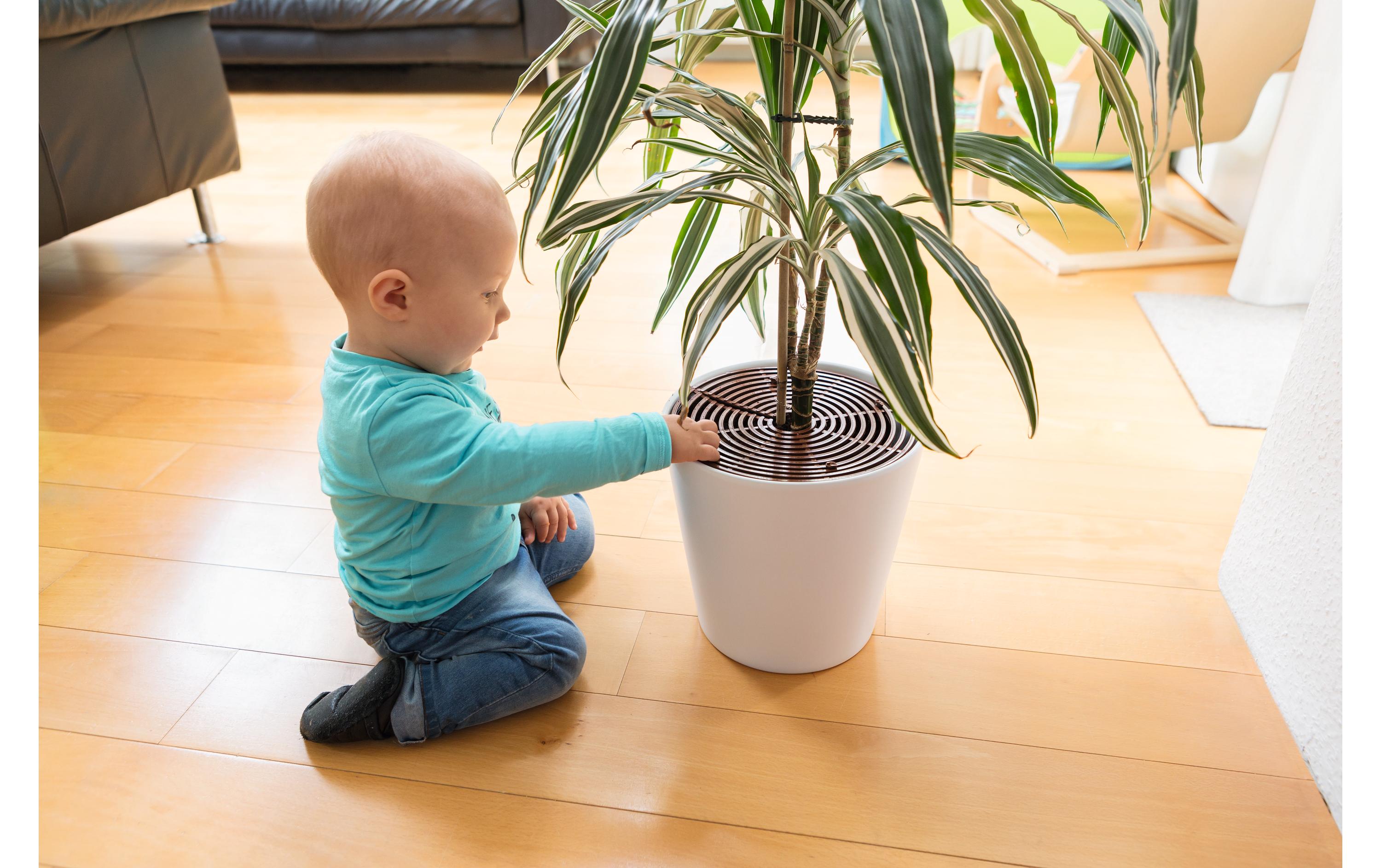 Pflanzentopfgitter Noah 2er SetBlumentopfgitter 2er Set Noah bis zu 30 cm, zuschneidbar