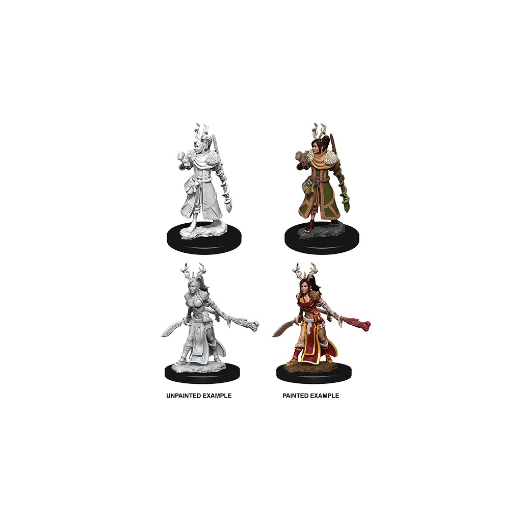 D&D Nolzur's Marvelous Unpainted Miniatures: Female Human Druid