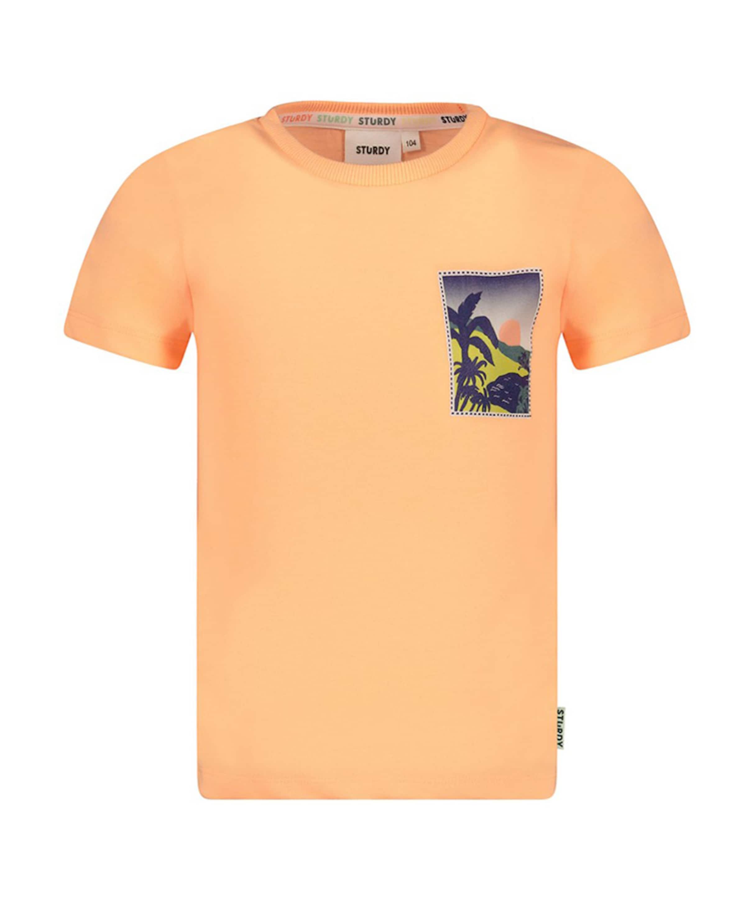 Sturdy Jongens T-shirt oranje