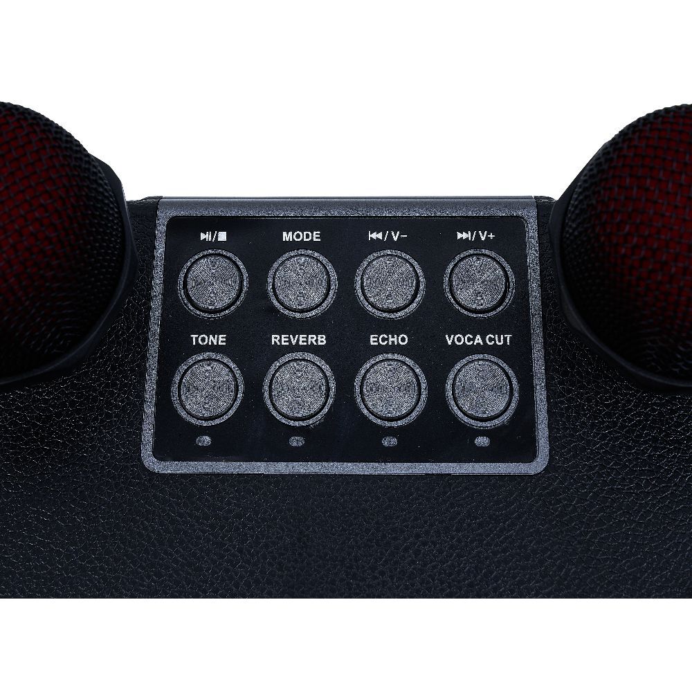 Enceinte karaoké 2 micros Homday Party - portée 10m autonomie 3h
