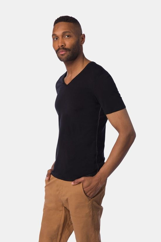 icebreaker icebreaker Anatomica Short Sleeve V Ondershirt