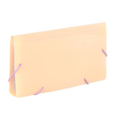 Viquel Rainbow Pastel - Trieur à soufflet - format chèque - disponible en différents coloris