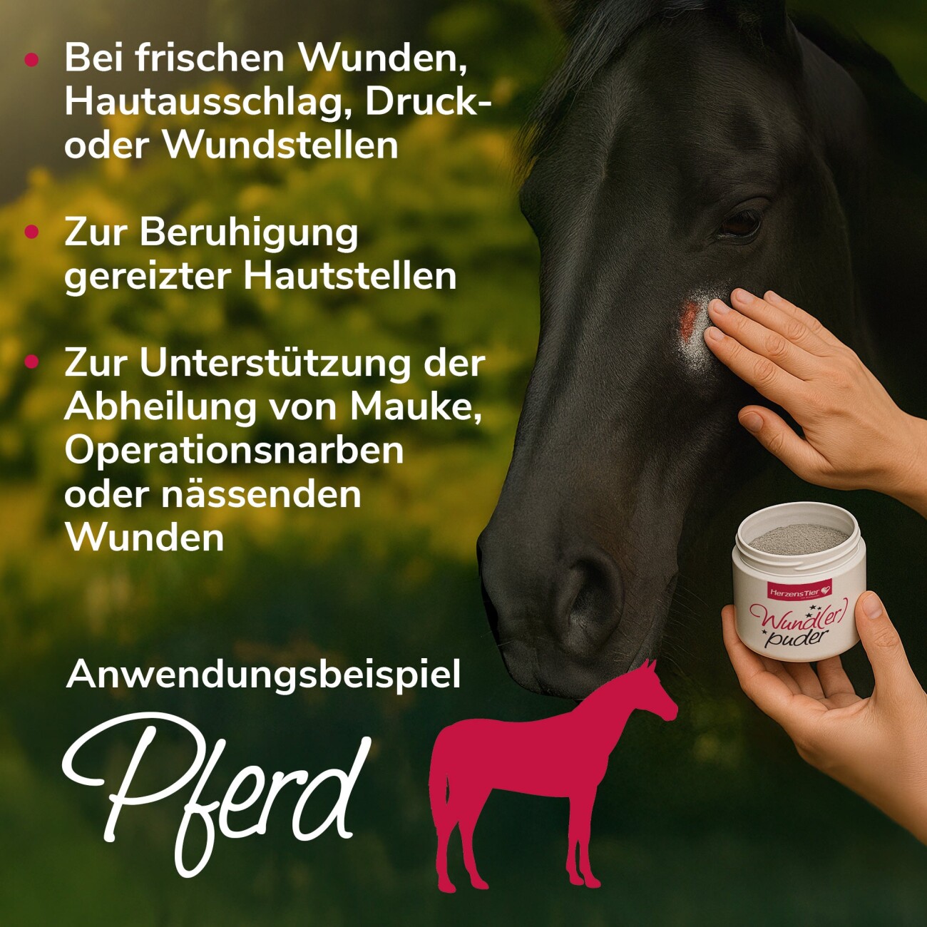 HerzensTier Wunderpuder 45g