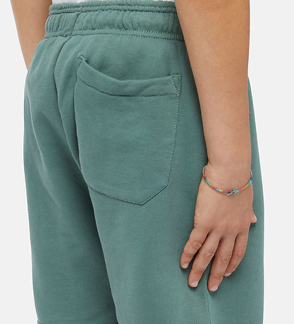 Dickies Sweatshorts - Youth Mapleton - Dark Forest