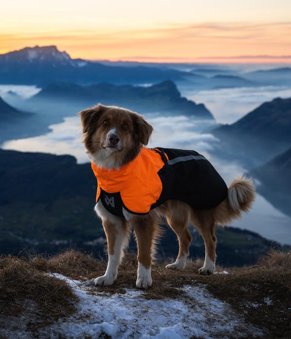 Non-stop dogwear Regenmantel Fjord raincoat
