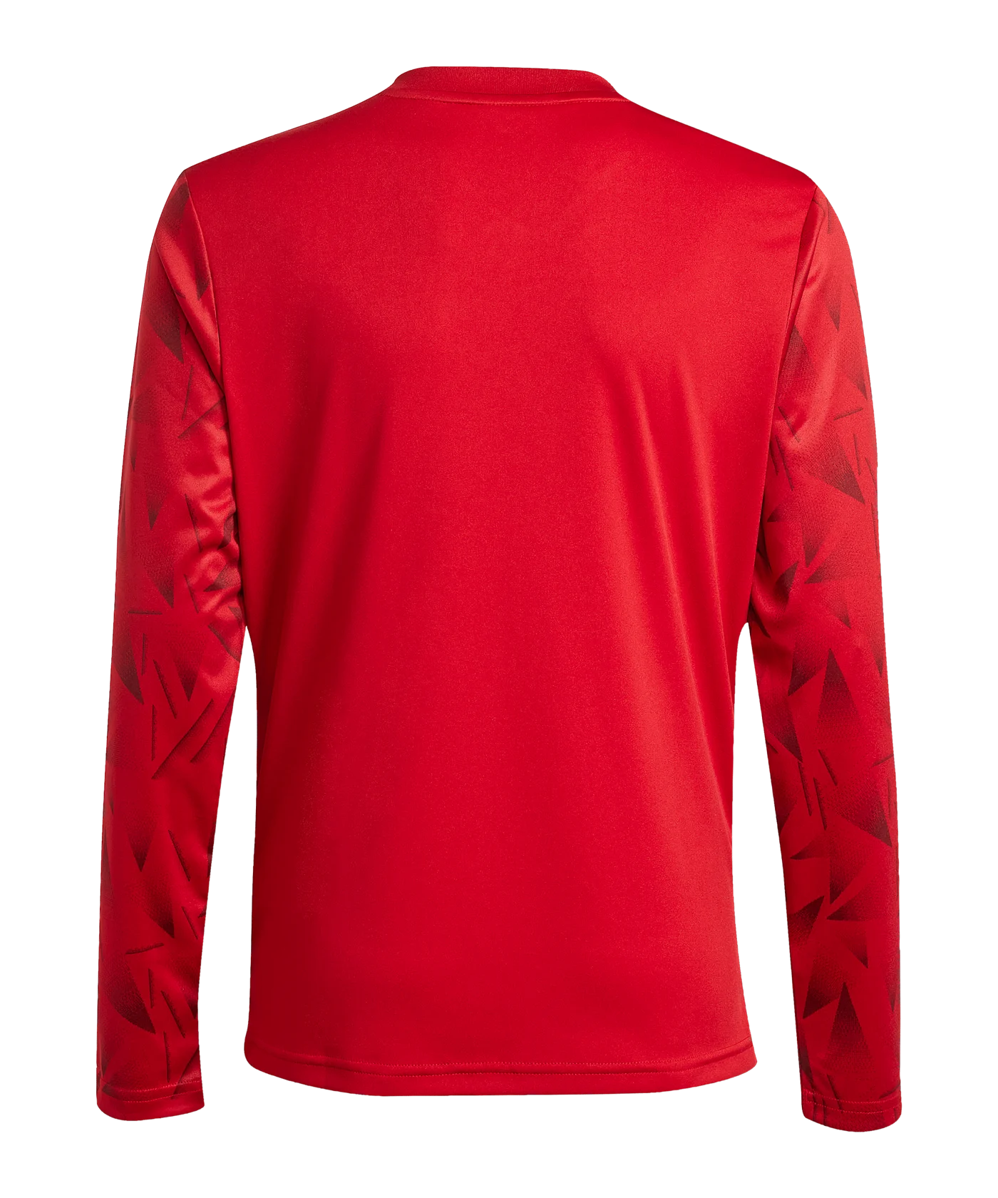 adidas Team Icon 25 Trikot langarm Kids Rot