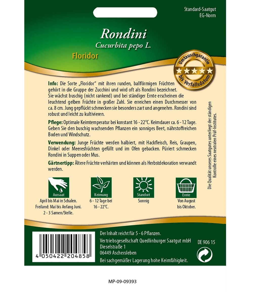Zucchini 'Rondini Floridor'