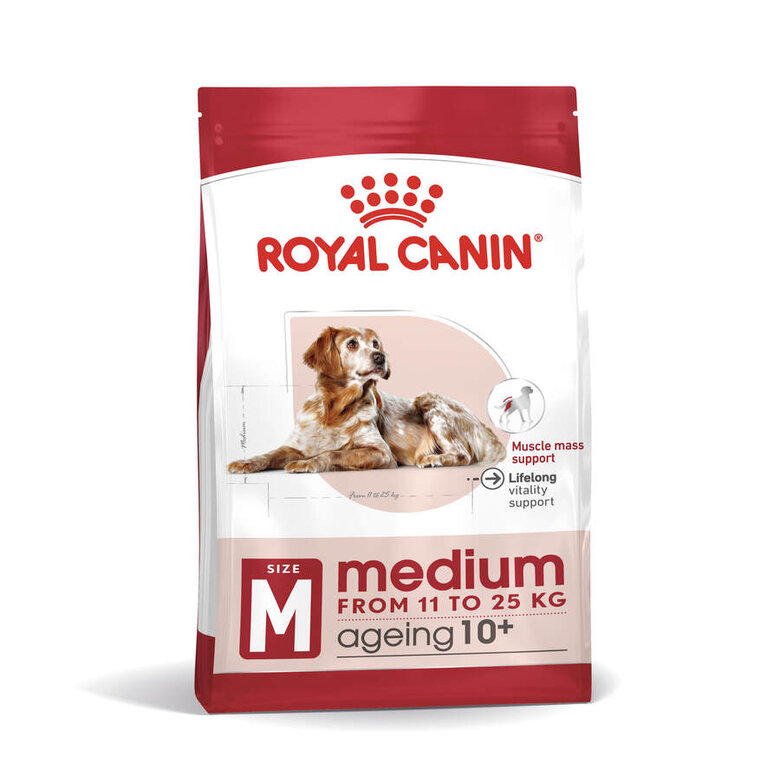 Ração Royal Canin para cães de porte médio com mais de 10 anos