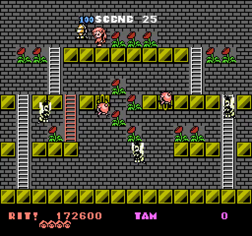 Rod Land (Collectors Edition)- Game Boy Color
