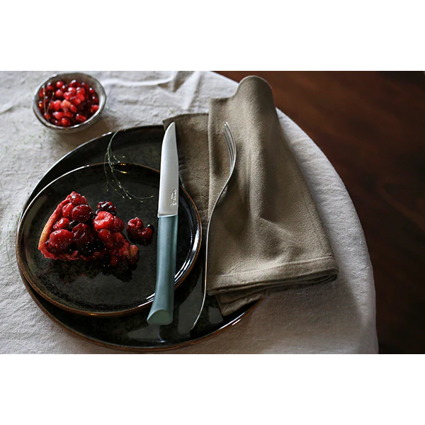 Coffret 4 couteaux de table Glam Opinel