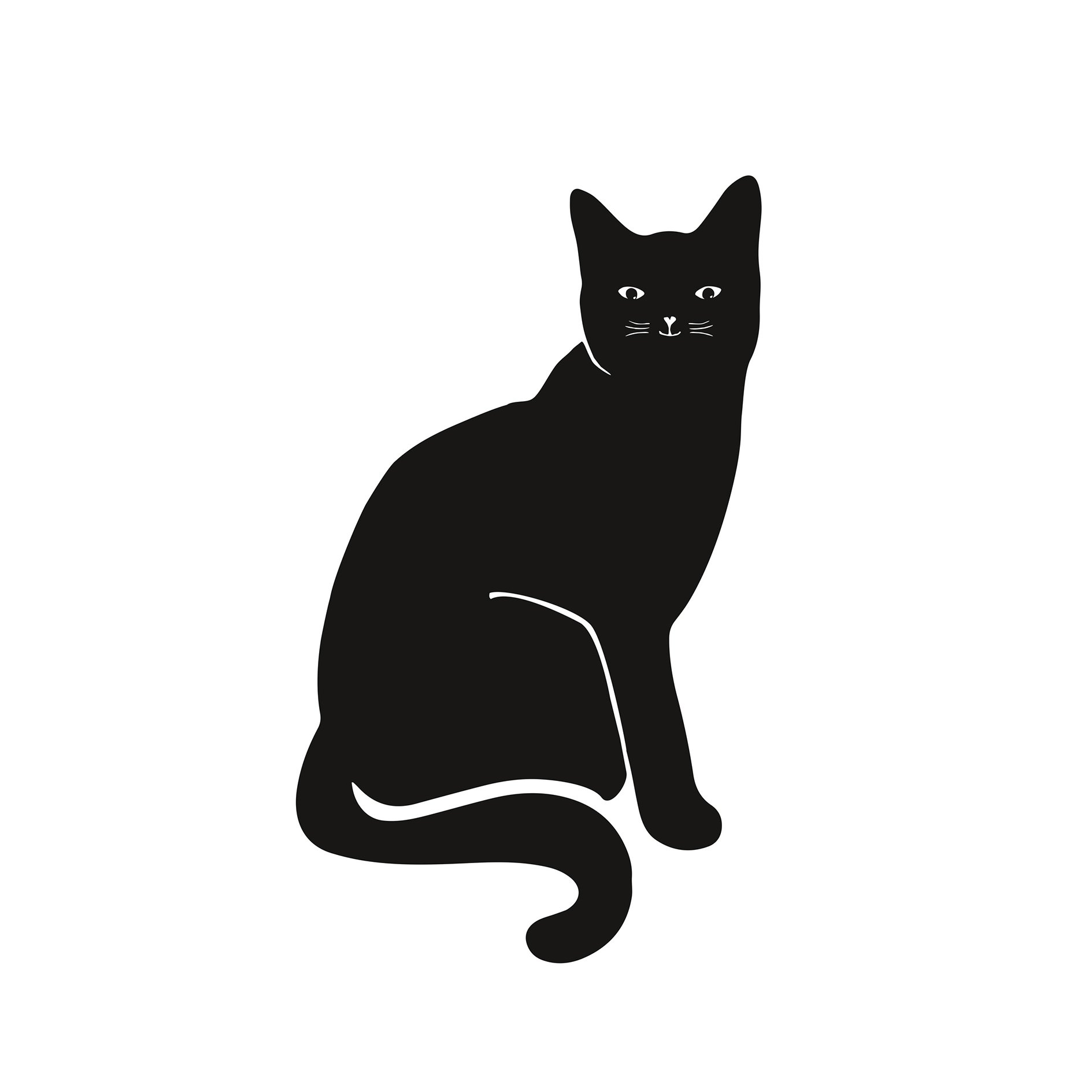 Gerahmtes Bild BLACK CAT - 20x30 cm