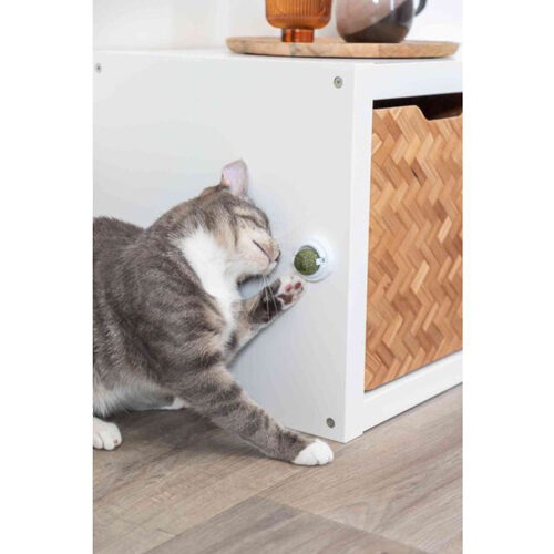 Trixie Catnip-bal met Houder