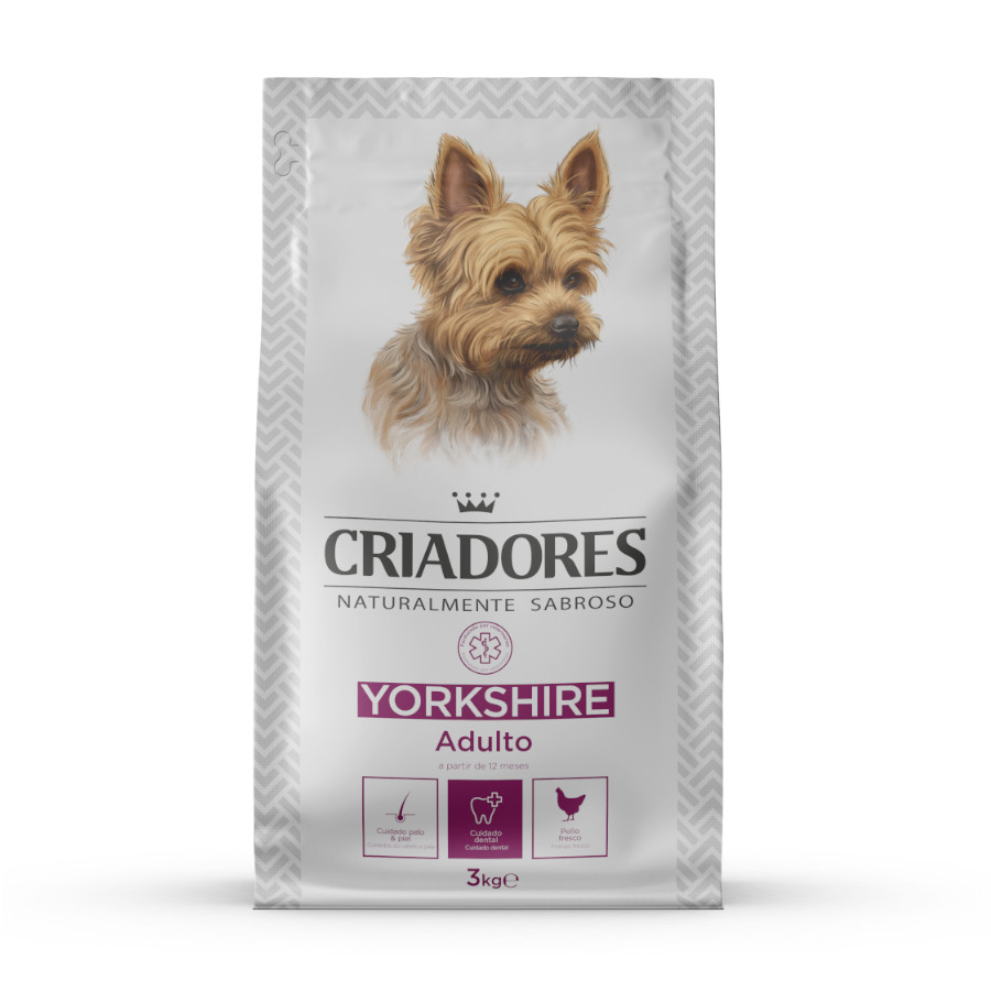 Ração para cães de criadores de Yorkshire Terrier