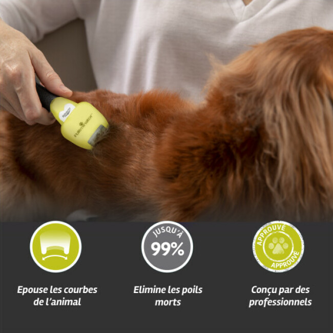 Brosse FURminator pour chien à poils courts