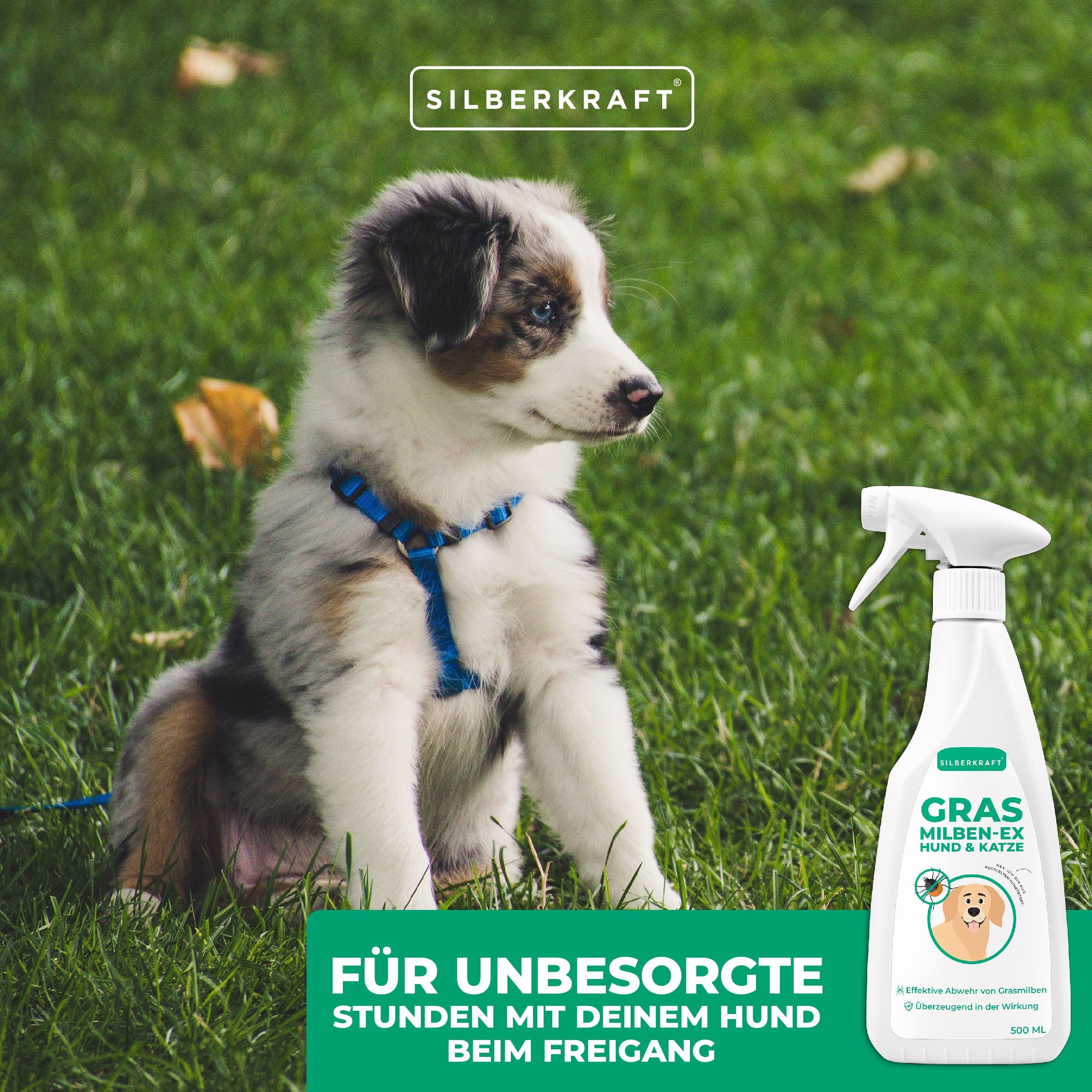 SILBERKRAFT Grasmilben Ex Hund & Katze