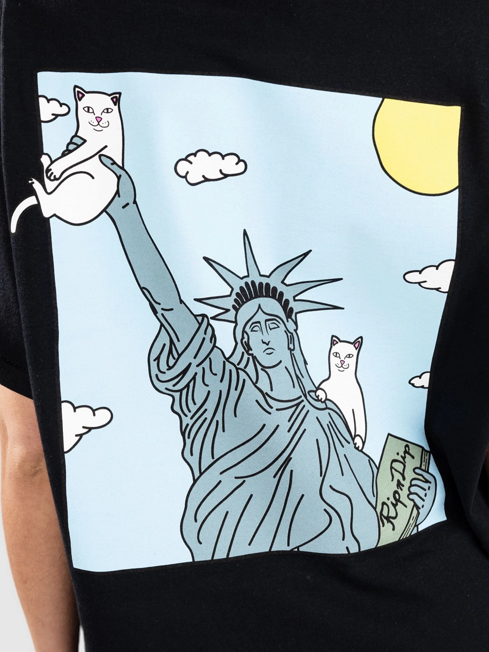 RIPNDIP Liberty Pocket T-Shirt black