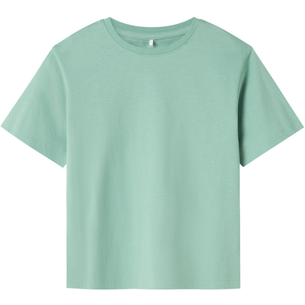 Køb Name It Creme De Menthe Vobbo Regular T-Shirt Noos