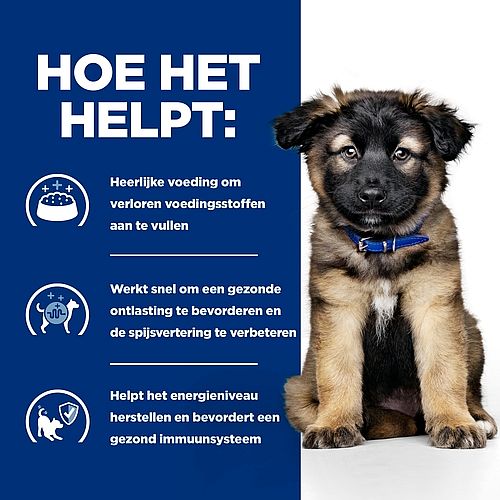 Hill's Prescription Diet ID Digestive Care Puppyvoer met Kip | 1.5 kg | 20349.1